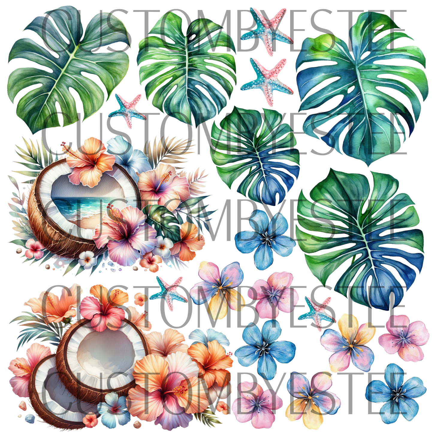 B15. ELEMENT SHEET- Coconut Floral Monstera