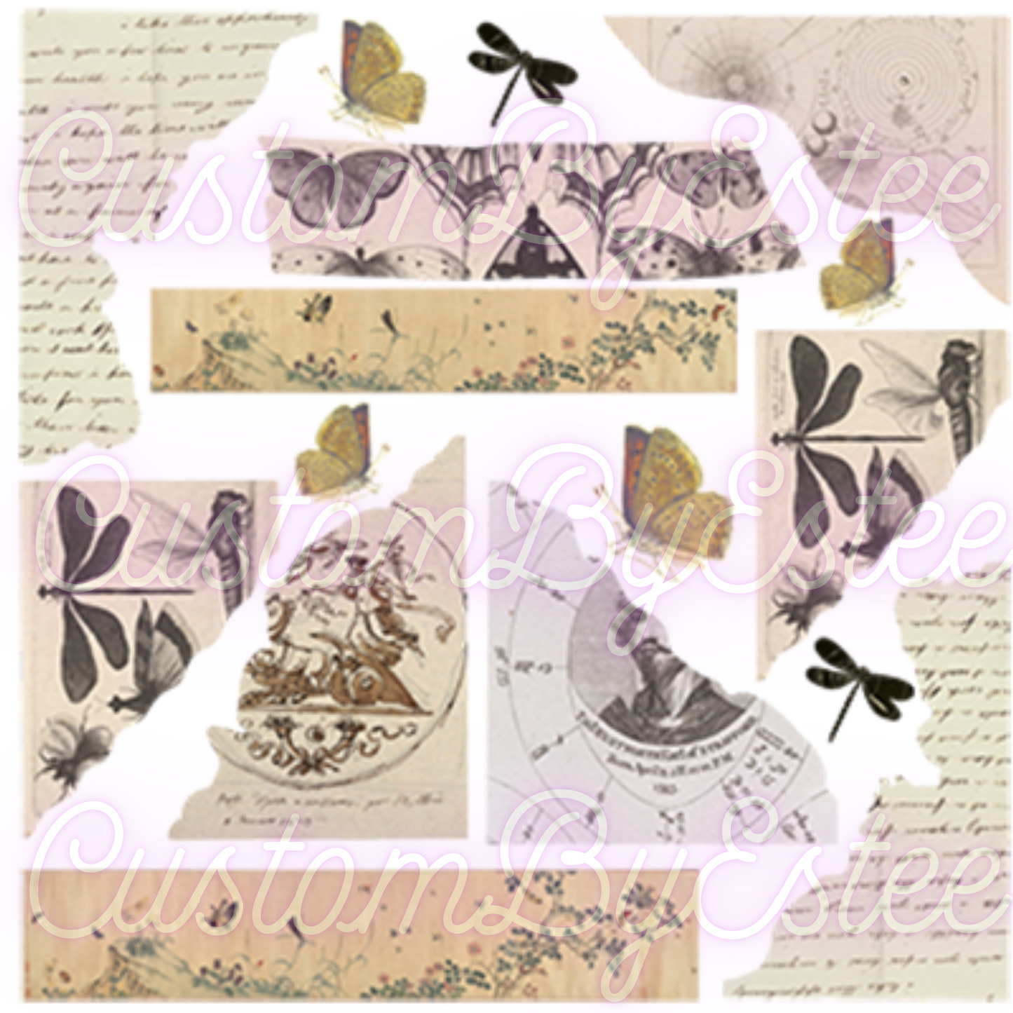 B. ELEMENT SHEET- Notebook Apothacary