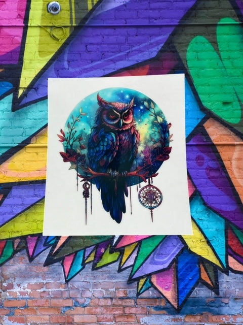 307. Midnight Owl Decal
