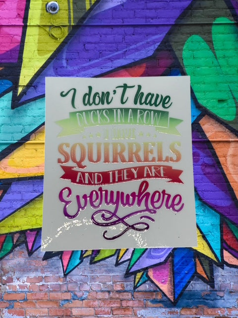 415. I Don't Have Ducks in a Row I Have Squirrels & They Are Everywhere Decal