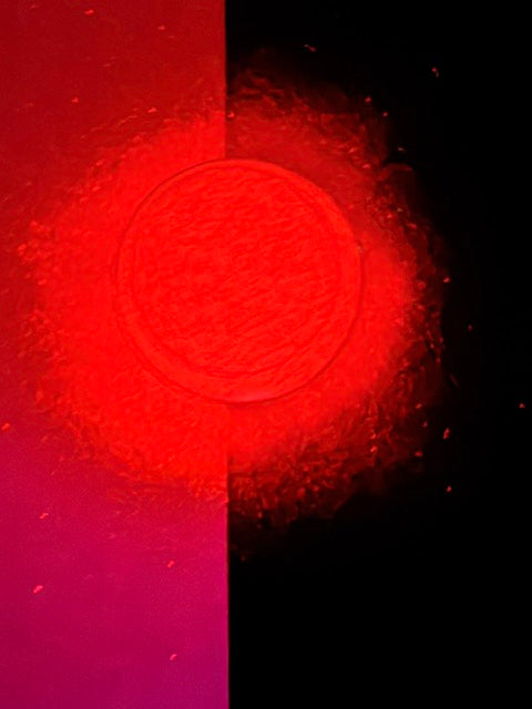 After Hours- Fine Iridescent Off White Glitter- RED GLOW