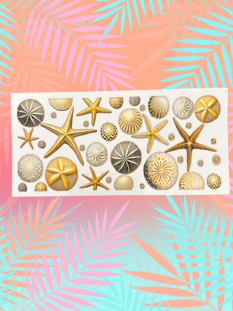 521. Sand Dollar Starfish Embellishment UVDTF