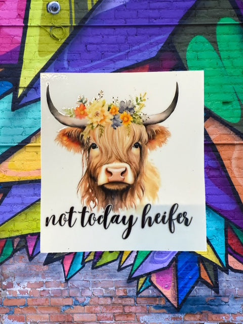 535. Not Today Heifer Cow Decal