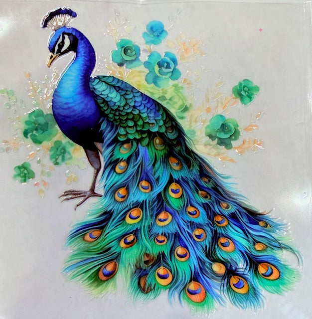 141. Peacock Decal