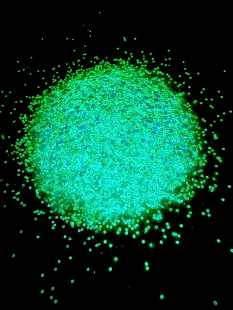 Sky Full of Stars- Blue Opal Glow Glitter 3-8
