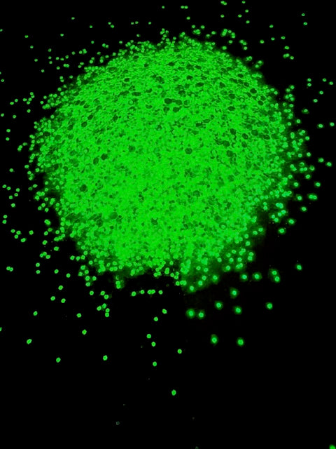 Margaritaville- Neon Green Glow Glitter 3-6