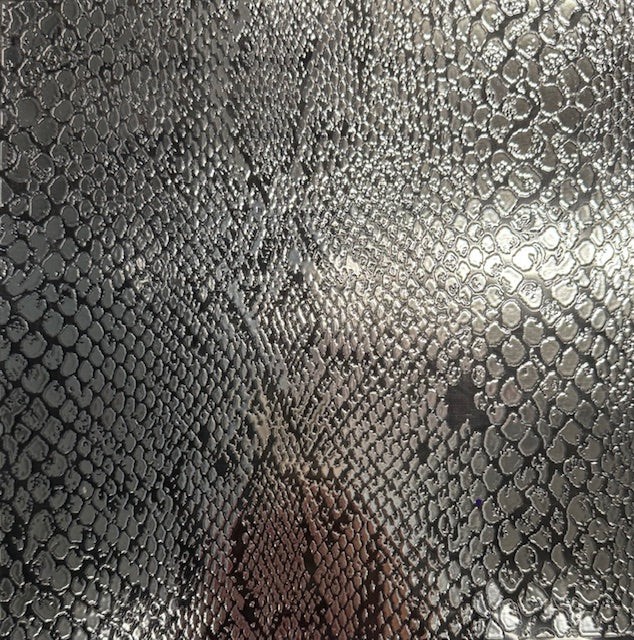 B20. ELEMENT SHEET- Silver Metallic Snake Skin