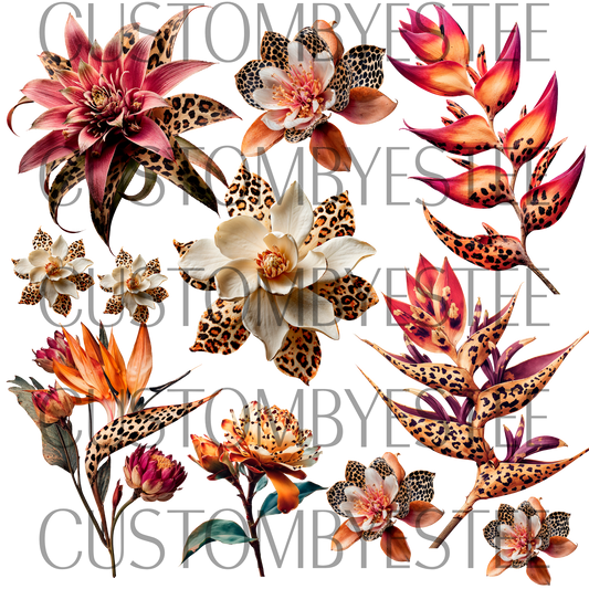 A28. ELEMENT SHEET- Leopard Flowers