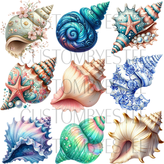B13. ELEMENT SHEET- Fancy Conch Shells