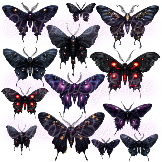 B33. ELEMENT SHEET- Black Moth