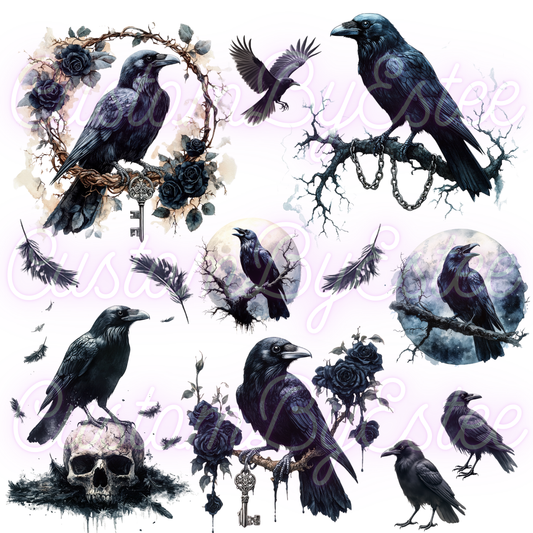 A46. ELEMENT SHEET- Crows