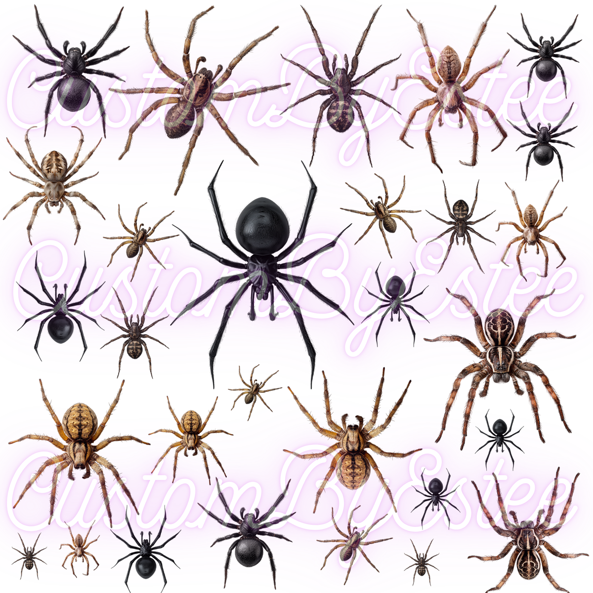 B46. ELEMENT SHEET- Realistic Spiders