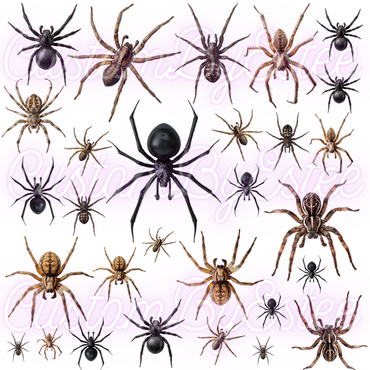 B46. ELEMENT SHEET- Realistic Spiders