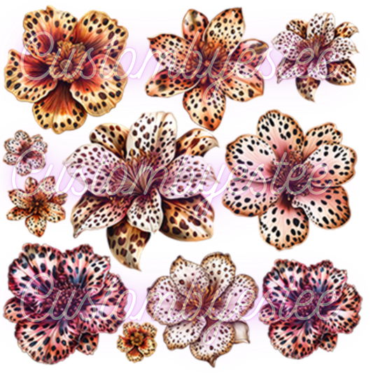 C30. ELEMENT SHEET- Cheetah Floral