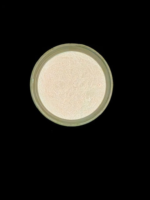 Peach to Yellow- Glow Powder 6-1