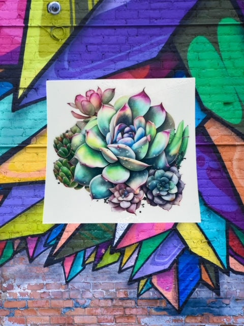 293. Succulent Decal