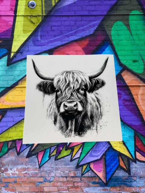 419. Black and White Highland Cow Decal