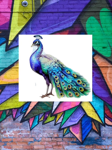142. Peacock Decal