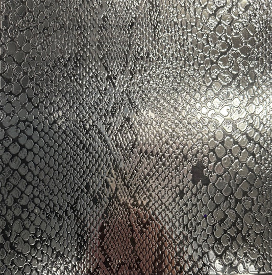 B20. ELEMENT SHEET- Silver Metallic Snake Skin
