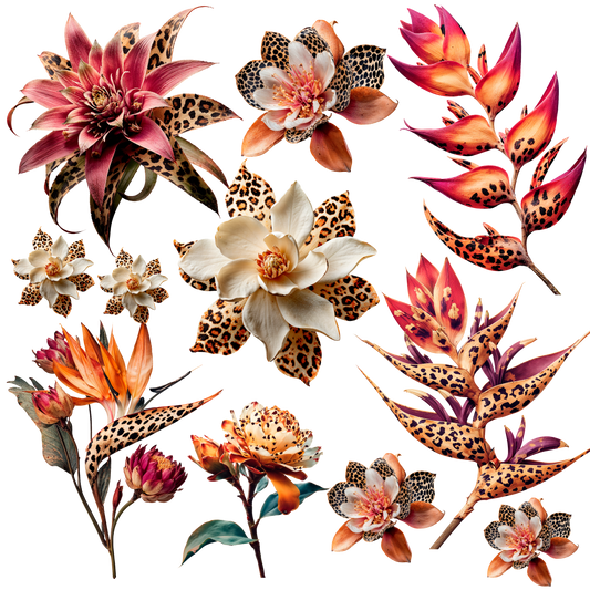 A28. ELEMENT SHEET- Leopard Flowers