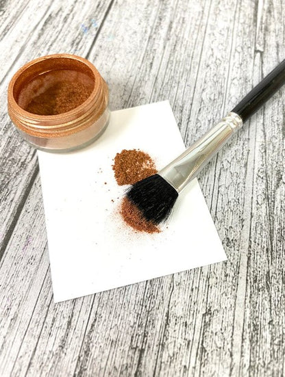 12 Pack Ranger Pigment Brushes