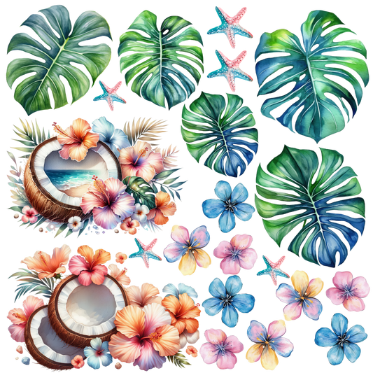 O. ELEMENT SHEET- Coconut Floral Monstera